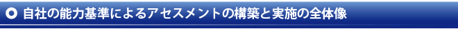 自社の能力基準によるアセスメントの構築と実施の全体像